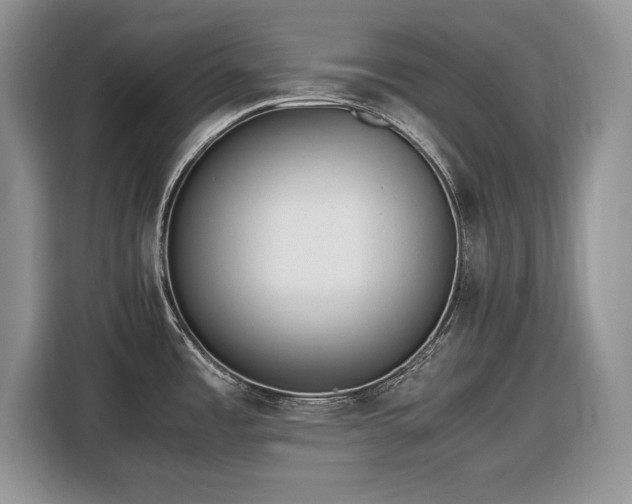 X0000116661485200912211457