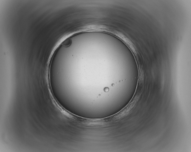 X0000116661486200912211457