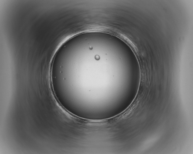 X0000116661487200912211457