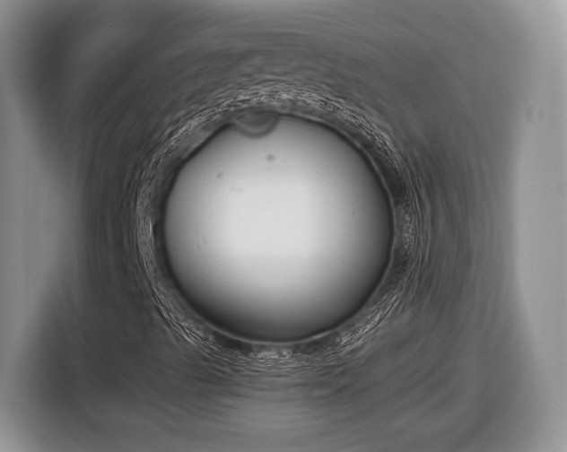 X0000116661489200912211457