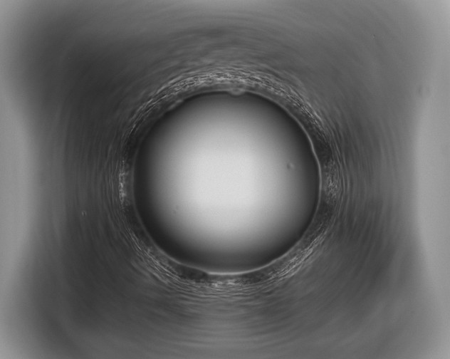 X0000116661490200912211457