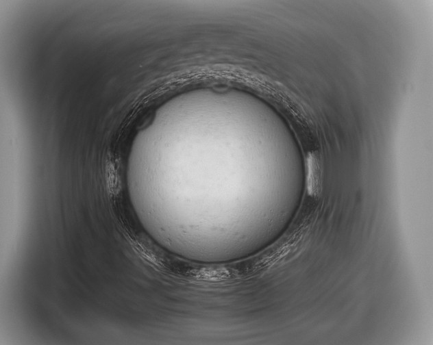 X0000116661491200912211457