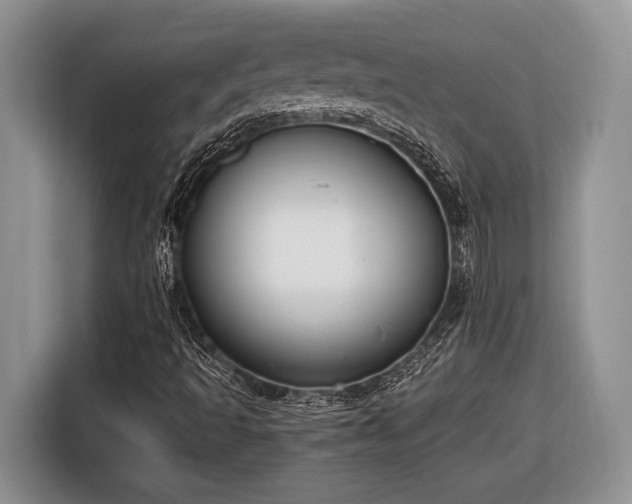 X0000116661493200912211457