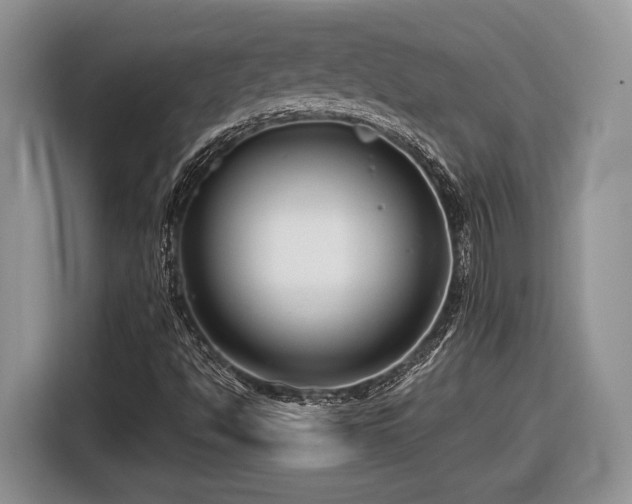 X0000116661494200912211457