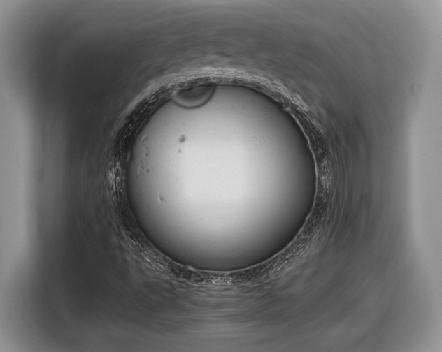 X0000116661495200912211457