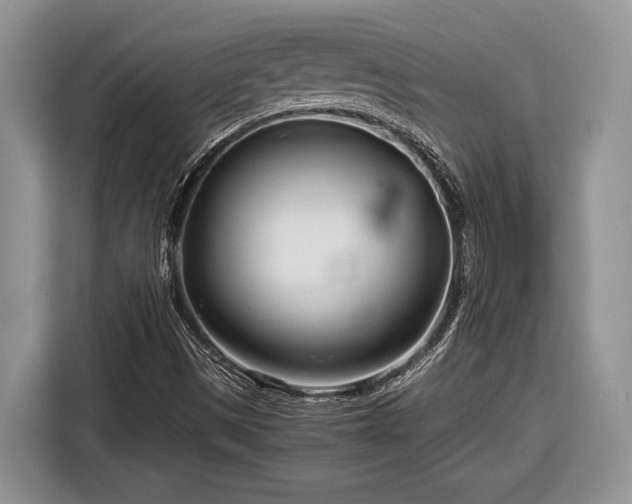 X0000116661497200912211457