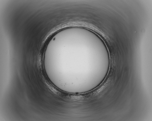 X0000116661498200912211457