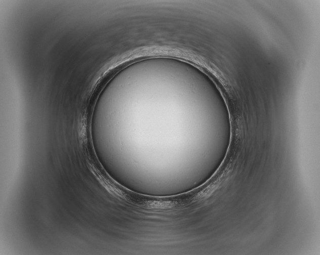 X0000116661499200912211457