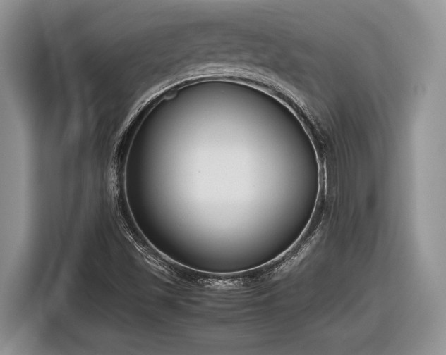 X0000116661501200912211457