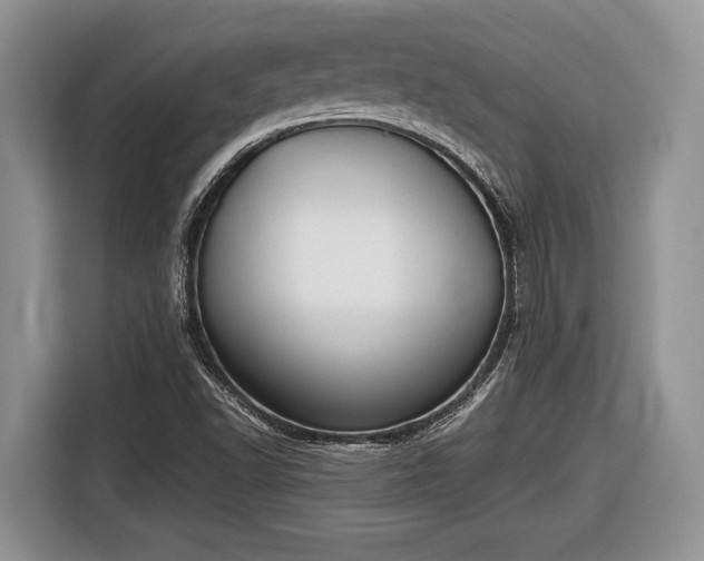 X0000116661502200912211457