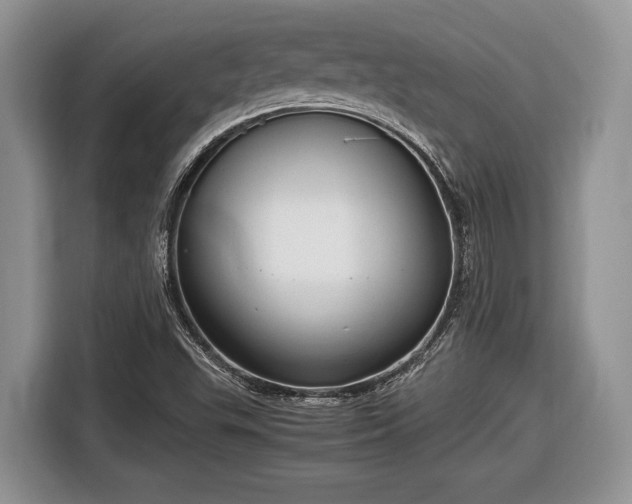 X0000116661503200912211457