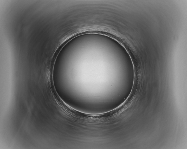 X0000116661505200912211457