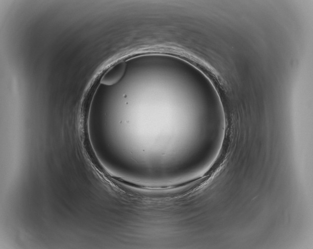 X0000116661506200912211457