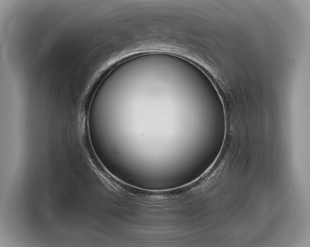 X0000116661507200912211457