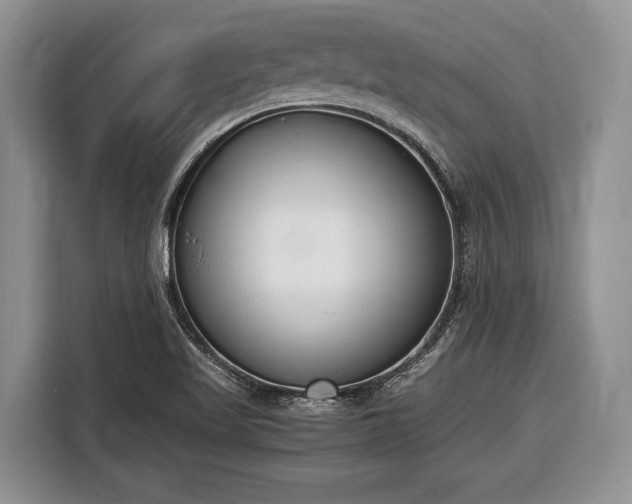 X0000116661509200912211457