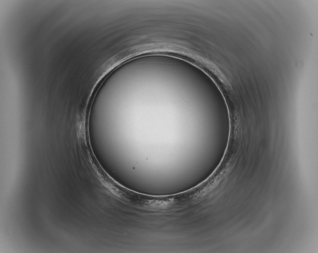 X0000116661513200912211457