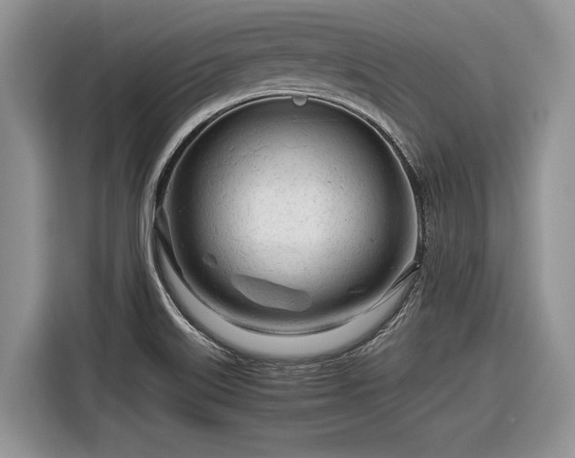 X0000116661515200912211457