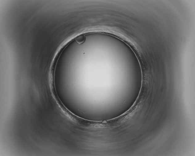 X0000116661517200912211457