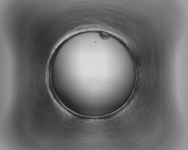 X0000116661518200912211457