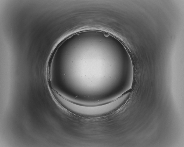 X0000116661519200912211457