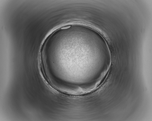 X0000116661522200912211457