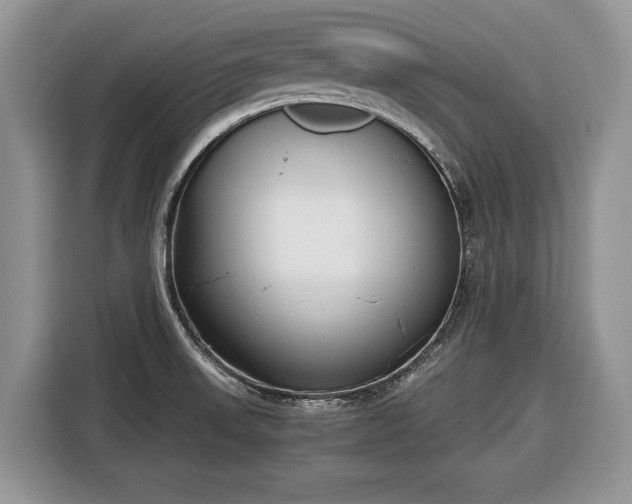 X0000116661523200912211457