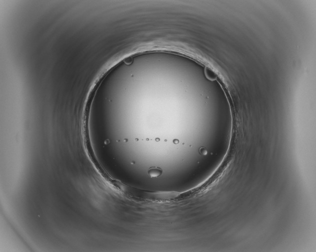 X0000116661525200912211457