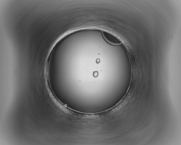 X0000116661526200912211457