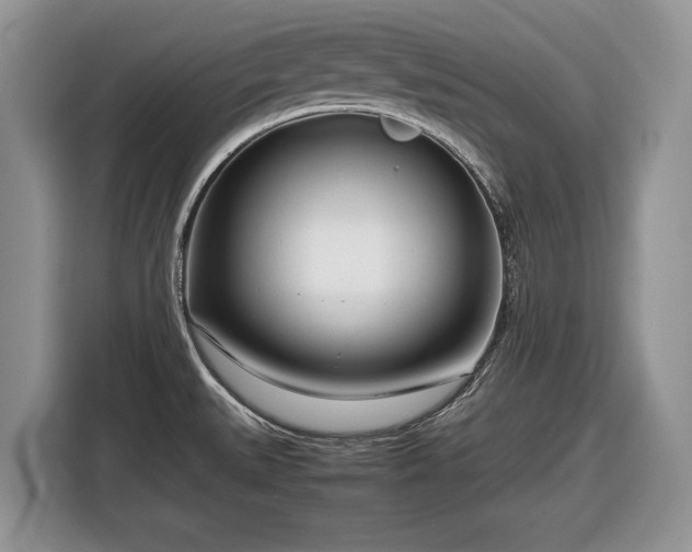 X0000116661527200912211457