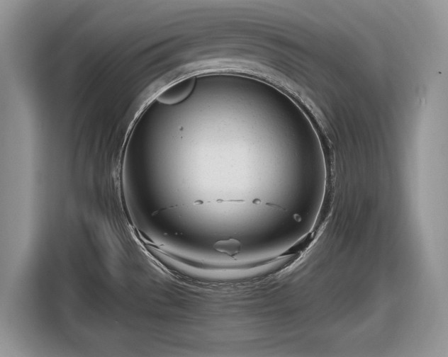 X0000116661529200912211457