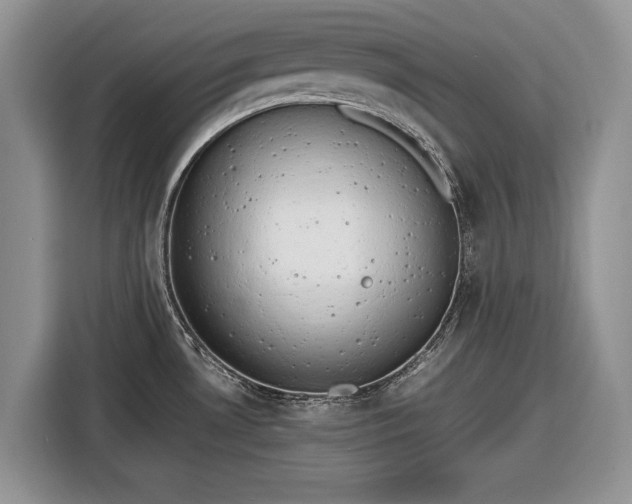 X0000116661530200912211457