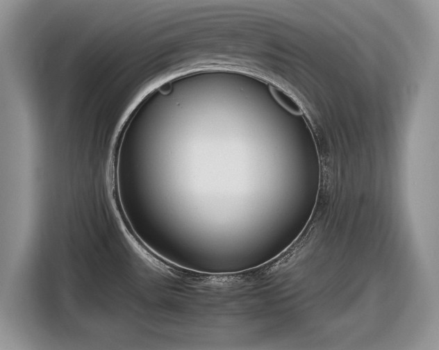 X0000116661531200912211457