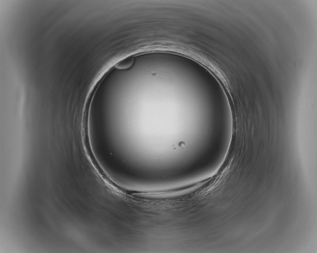 X0000116661533200912211457