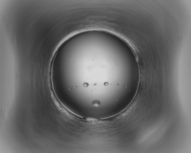 X0000116661534200912211457