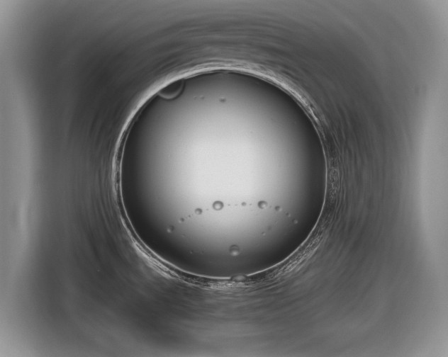 X0000116661535200912211457