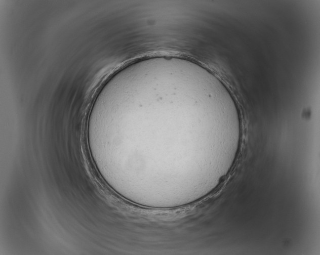 X0000116660001200912291647