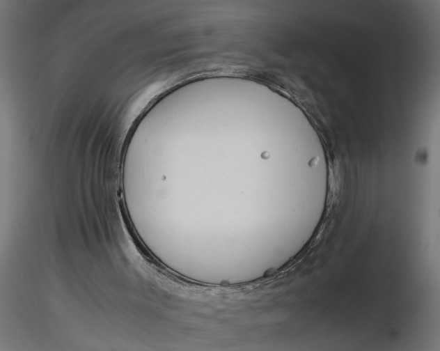 X0000116660003200912291647