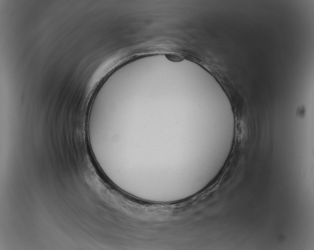 X0000116660004200912291647