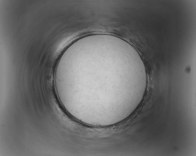 X0000116660005200912291647