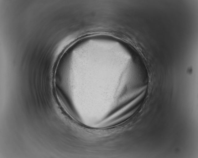 X0000116660006200912291647