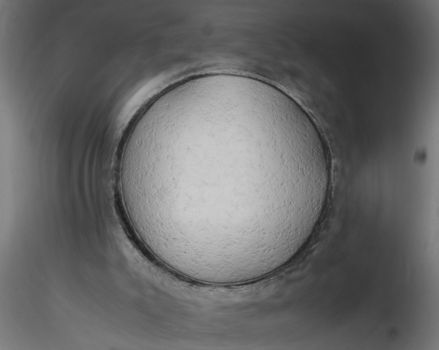 X0000116660007200912291647