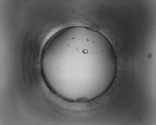 X0000116660008200912291647