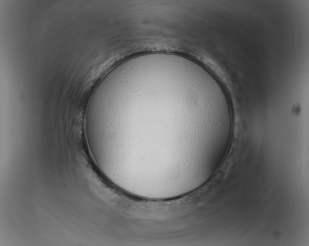 X0000116660009200912291647