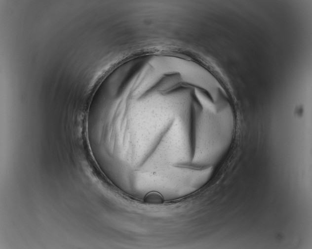 X0000116660010200912291647