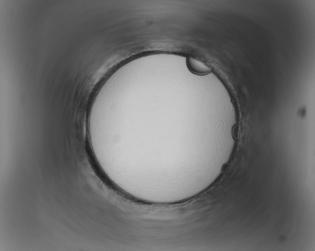 X0000116660011200912291647