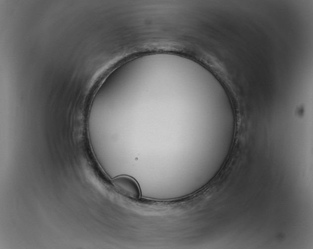 X0000116660012200912291647