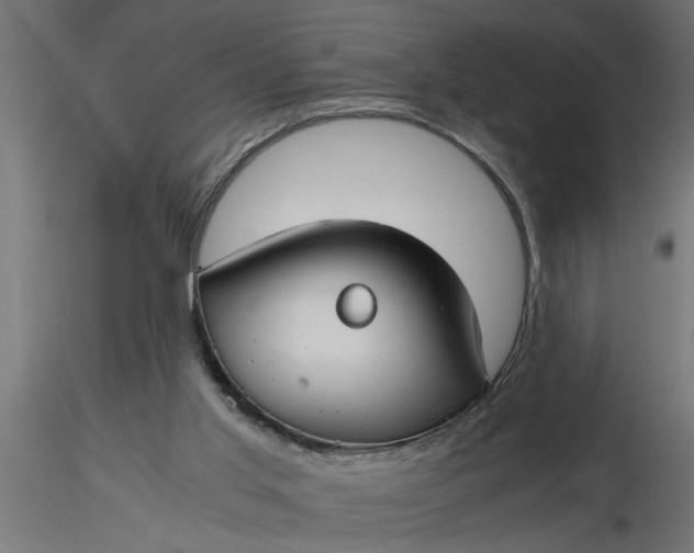 X0000116660013200912291647