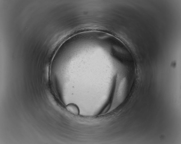 X0000116660014200912291647