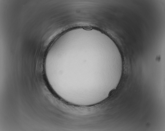 X0000116660015200912291647