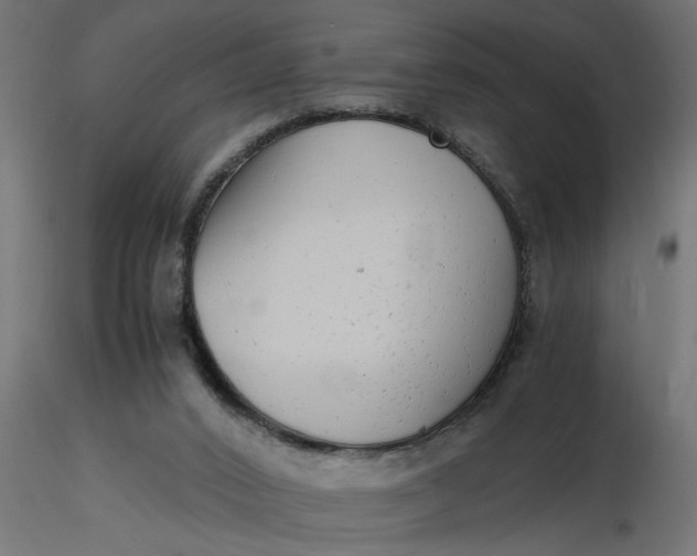 X0000116660016200912291647